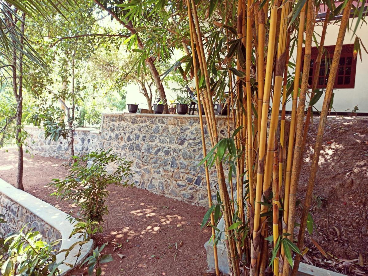 מלון דיקוולה Eco Garden Hiriketiya מראה חיצוני תמונה